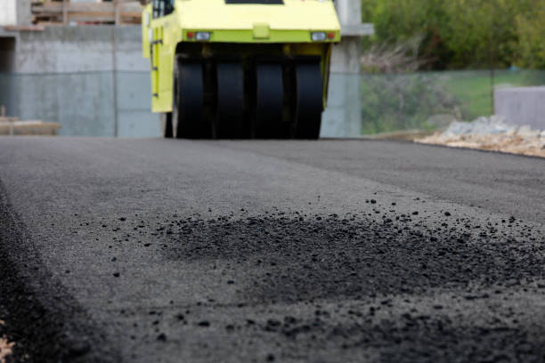 Best Custom Driveway Pavers  in Lackawanna, NY