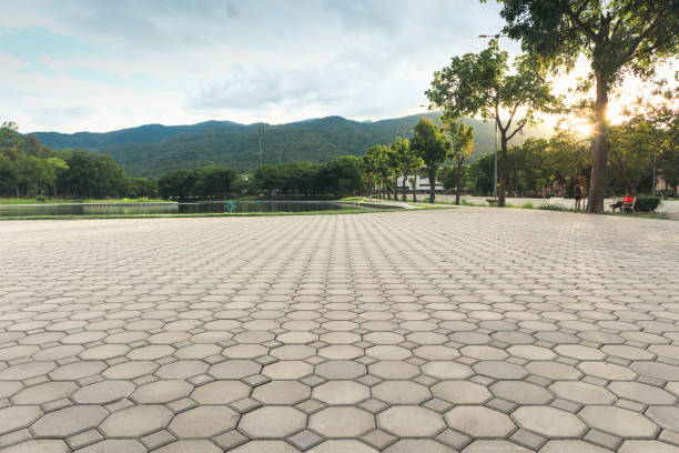 Best Driveway Paving Contractor  in Lackawanna, NY